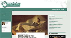 Desktop Screenshot of evreninkizi.com